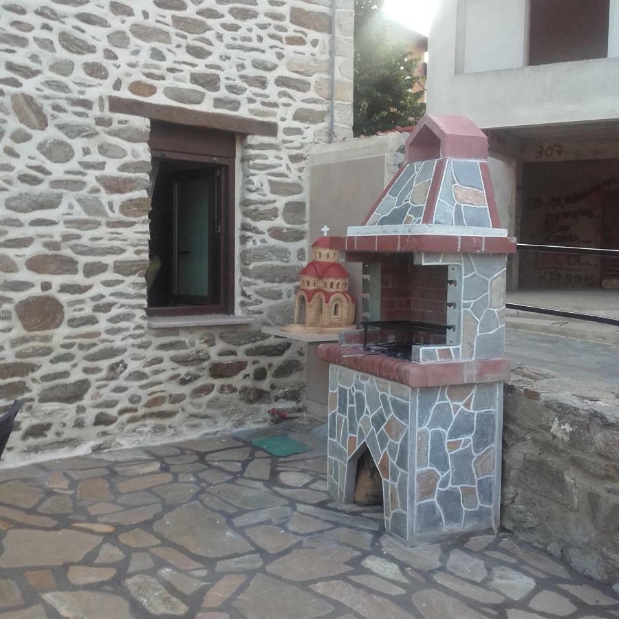 To Petrino Holidays House Metagkitsi Dış mekan fotoğraf